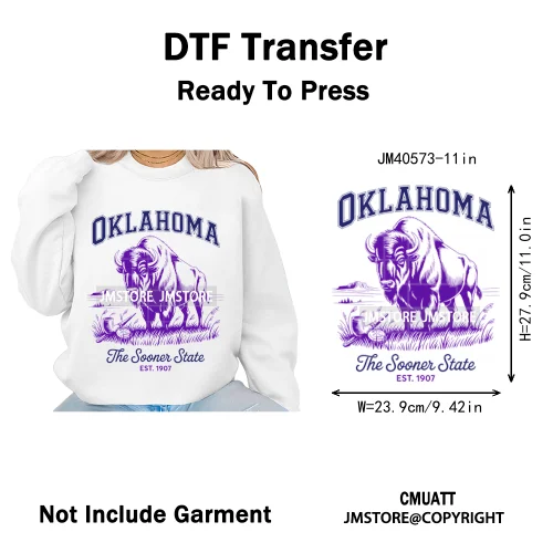 Funny US States Slogan Vacation Scenic Citycape Landmark Iron on DTF Washable Transfers Stickers Ready to Press for Textile Bags