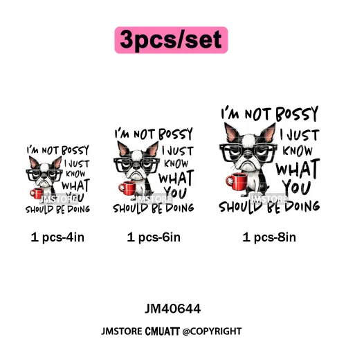 Funny Animal Snarky Inspire Quotes Dog Cat Sarcastic Saying Iron on DTF Washable Transfers Stickers Ready to Press for Clothes