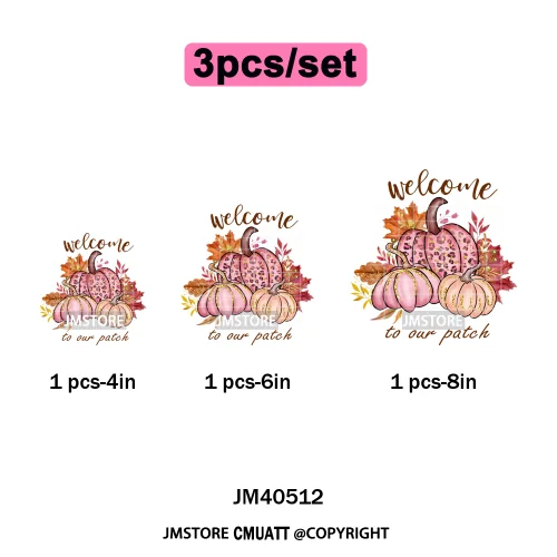 Pink Happy Fall Season Harvest Blessings Pumpkin Autumn Vibes Iron on DTF Washable Transfers Stickers Ready to Press for Hoodies