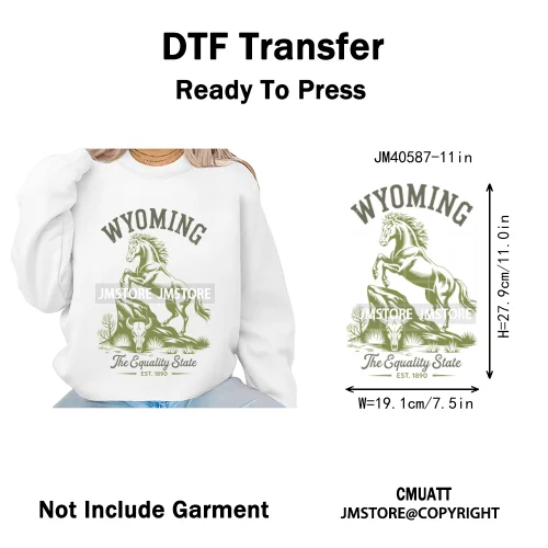 Funny US States Slogan Vacation Scenic Citycape Landmark Iron on DTF Washable Transfers Stickers Ready to Press for Textile Bags