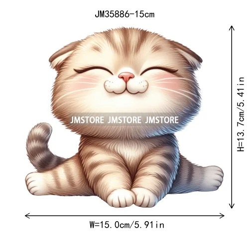 15cm 5.9in Kids Yoga Kungfu Cat Iron On Transfer Stickers For Clothes DTF Printed Vinyl Thermal Appliques Washable T-Shirt Decal
