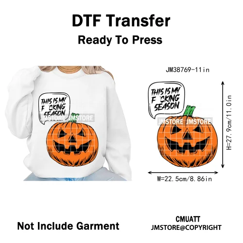 New Sarcastic Halloween Snarky Inspire Quotes Printing Iron on DTF Washable Transfers Stickers Ready to Press for Clothing Bags