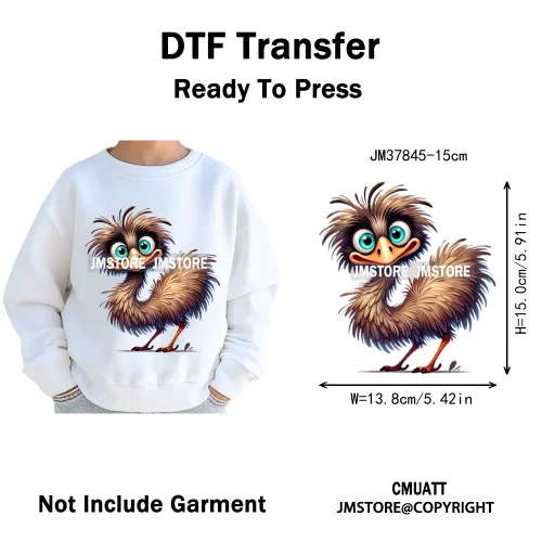 15cm 5.9in Kids Funny Hairy Cartoon Birds Animal Washable Iron on DTF Transfers Stickers Printing Ready to Press for Clothing