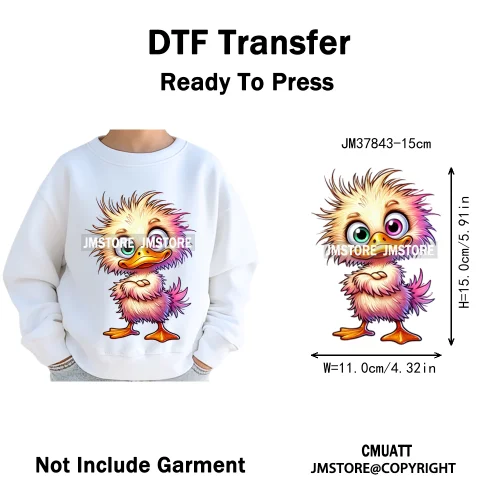 15cm 5.9in Kids Funny Hairy Cartoon Birds Animal Washable Iron on DTF Transfers Stickers Printing Ready to Press for Clothing