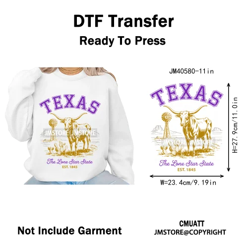 Funny US States Slogan Vacation Scenic Citycape Landmark Iron on DTF Washable Transfers Stickers Ready to Press for Textile Bags