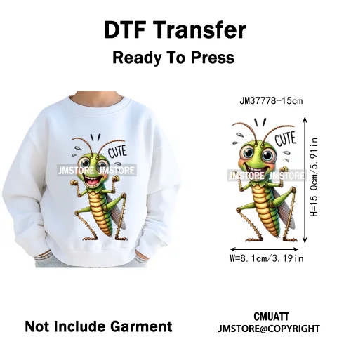 15cm 5.9in Kids Cute Nursery Thermal Printed Bird Fly Animal Washable Iron on DTF Transfers Stickers Ready to Press for Textile