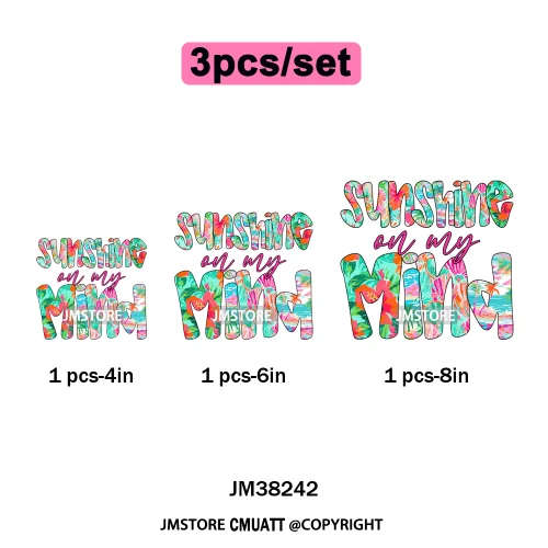 Seashell Sweet Summer Salty Soul Preppy Coastal Coquette Floral Vibes Iron on DTF Transfers Stickers Ready to Press for T-shirts