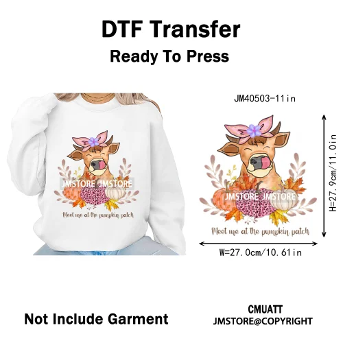 Pink Happy Fall Season Harvest Blessings Pumpkin Autumn Vibes Iron on DTF Washable Transfers Stickers Ready to Press for Hoodies
