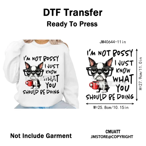Funny Animal Snarky Inspire Quotes Dog Cat Sarcastic Saying Iron on DTF Washable Transfers Stickers Ready to Press for Clothes
