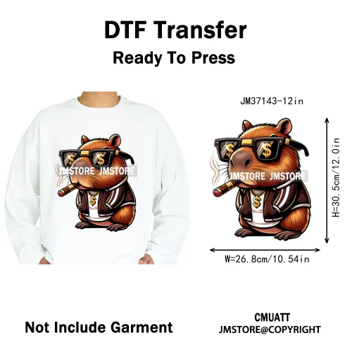 12in Colorful Gangster Urban Hip Hop Music Panda Dog Animal Lover Iron on DTF Heat Transfer Stickers Ready to Press for Clothing