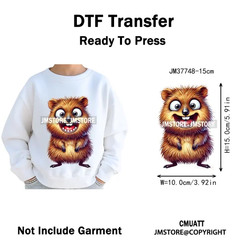 15cm 5.9in Kids Quirky Safari Cartoon Animal Iron On Transfers Stickers For Clothing DTF Printed Appliques Washable T-Shirts
