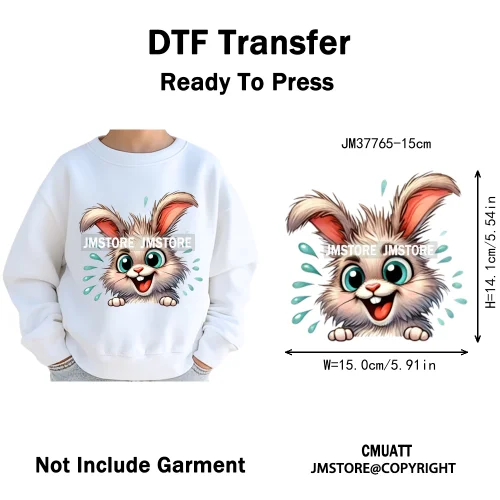 15cm 5.9in Kids Quirky Safari Cartoon Animal Iron On Transfers Stickers For Clothing DTF Printed Appliques Washable T-Shirts