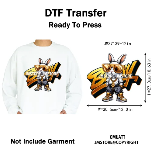 12in Cartoon Graffiti Streetwear Tiger Bunny Animal King Hip Hop Poster Iron on DTF Transfer Stickers Ready to Press for Hoodies