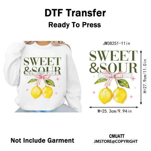 Seashell Sweet Summer Salty Soul Preppy Coastal Coquette Floral Vibes Iron on DTF Transfers Stickers Ready to Press for T-shirts