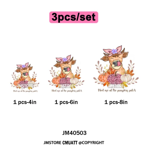 Pink Happy Fall Season Harvest Blessings Pumpkin Autumn Vibes Iron on DTF Washable Transfers Stickers Ready to Press for Hoodies