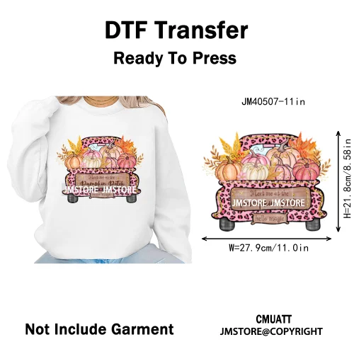 Pink Happy Fall Season Harvest Blessings Pumpkin Autumn Vibes Iron on DTF Washable Transfers Stickers Ready to Press for Hoodies