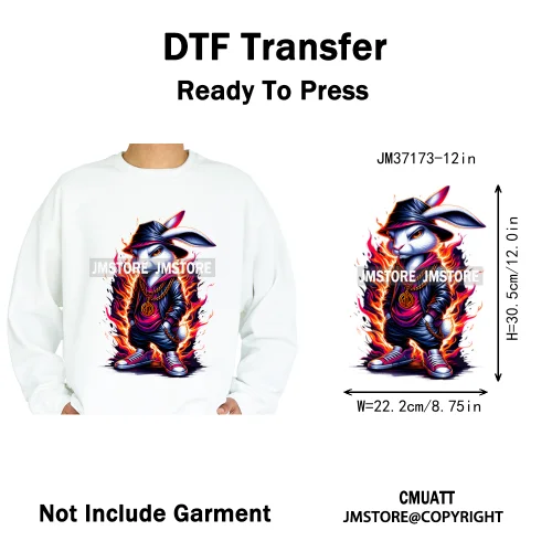 12in Colorful Gangster Urban Hip Hop Music Panda Dog Animal Lover Iron on DTF Heat Transfer Stickers Ready to Press for Clothing