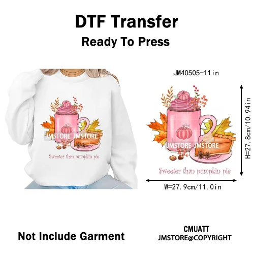 Pink Happy Fall Season Harvest Blessings Pumpkin Autumn Vibes Iron on DTF Washable Transfers Stickers Ready to Press for Hoodies
